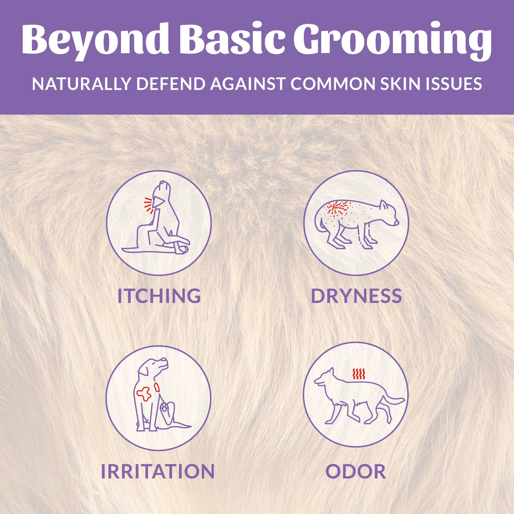 Skout's Honor Probiotic Lavender Pet Shampoo & Conditioner, 16-oz