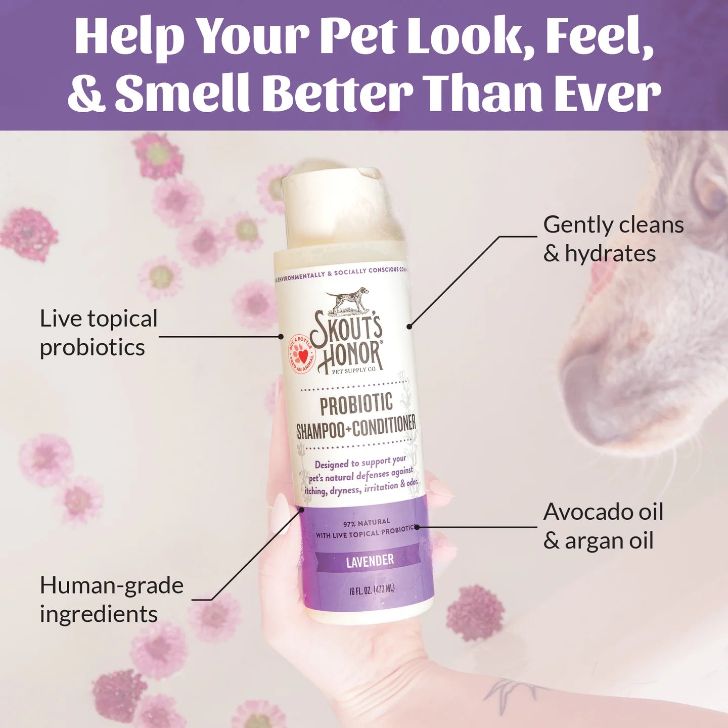 Skout's Honor Probiotic Lavender Pet Shampoo & Conditioner, 16-oz