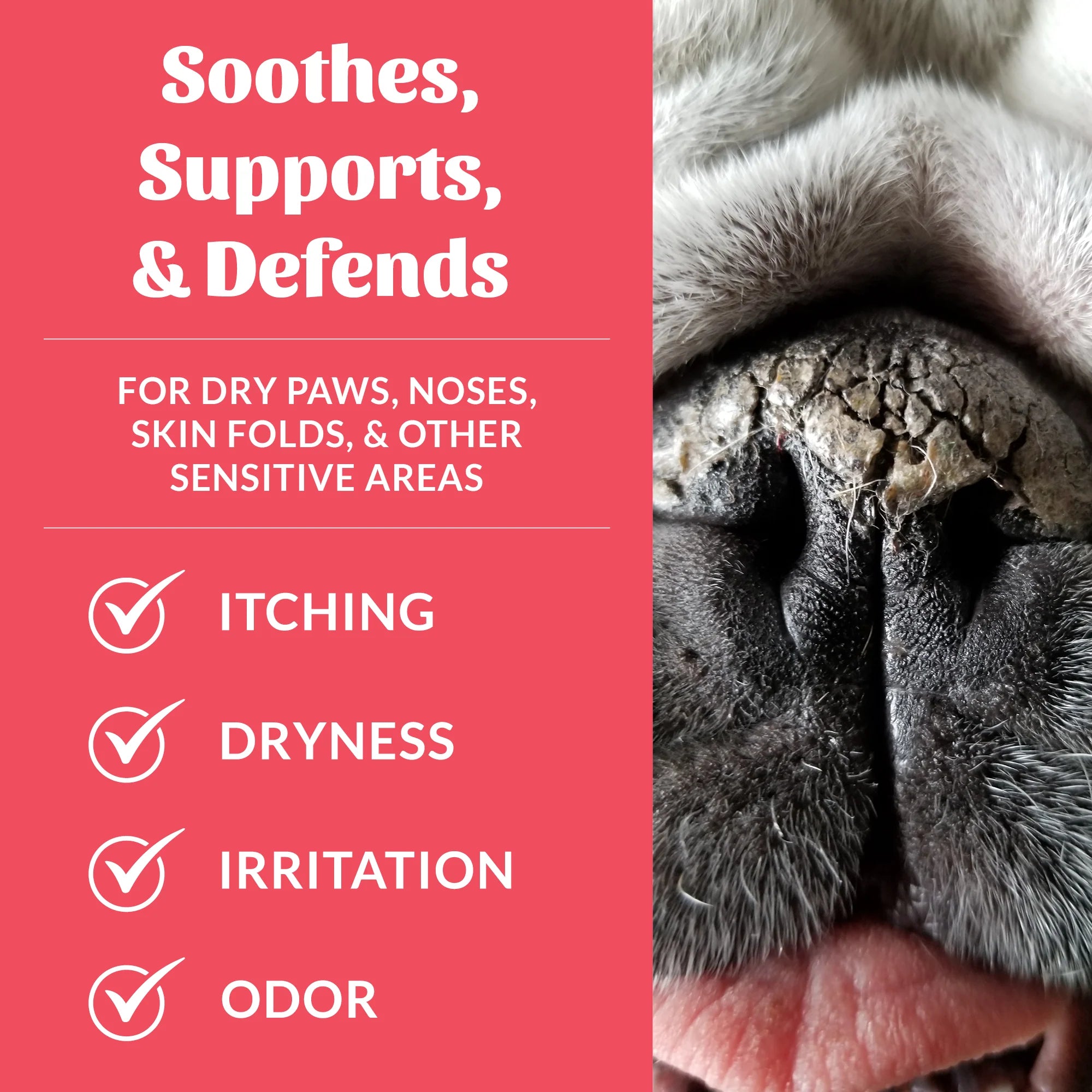 Skout's Honor Prebiotic Pet Balm