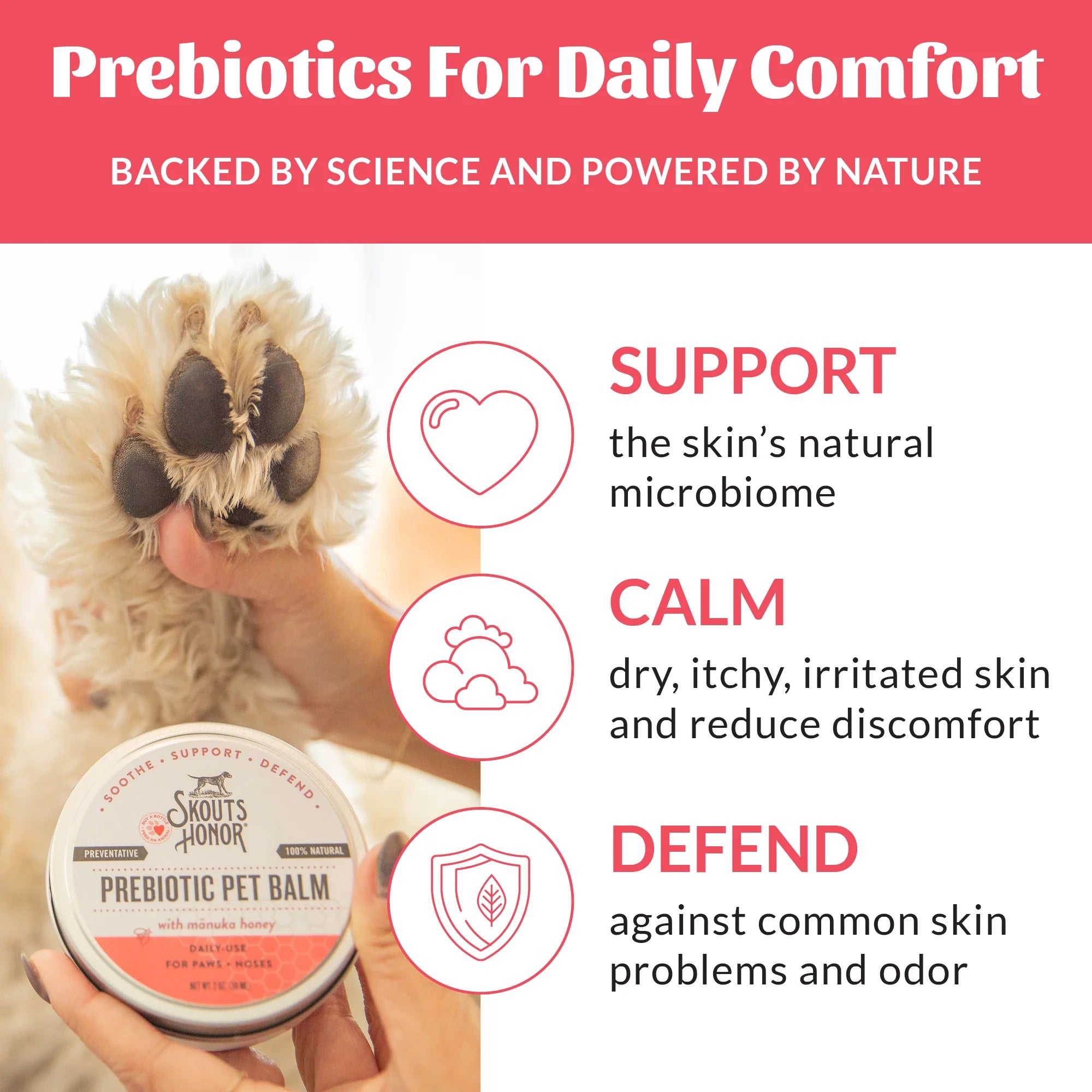 Skout's Honor Prebiotic Pet Balm