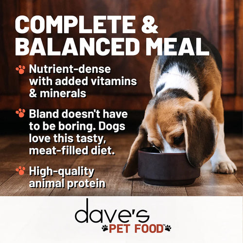 Dave's Pet Food Restricted Bland Diet Chicken & Rice Delicate Dinner Wet Dog Food Can