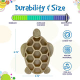 Sodapup Turtle eChew Durable Nylon Chew and Enrichment Toy