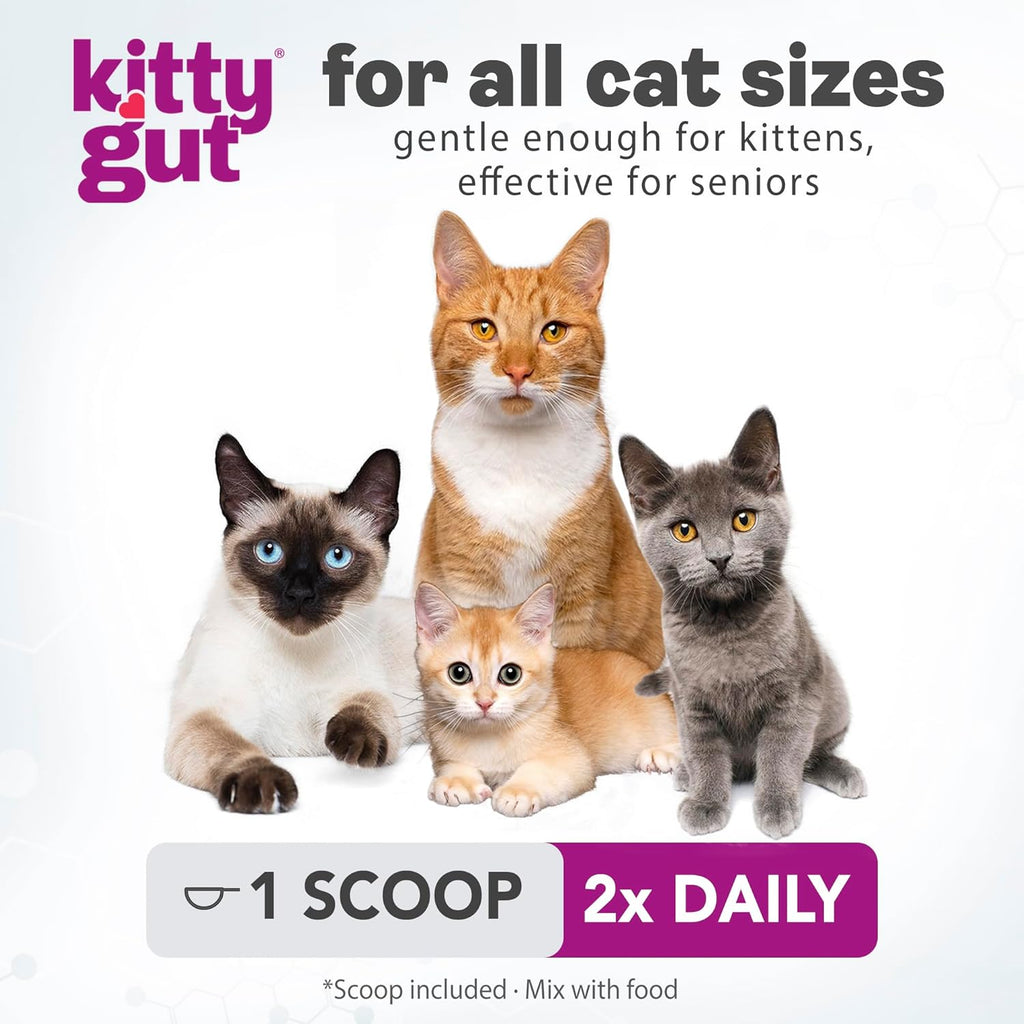 KittyGut™ Premium Cat Digestive & Immune Support for Cats