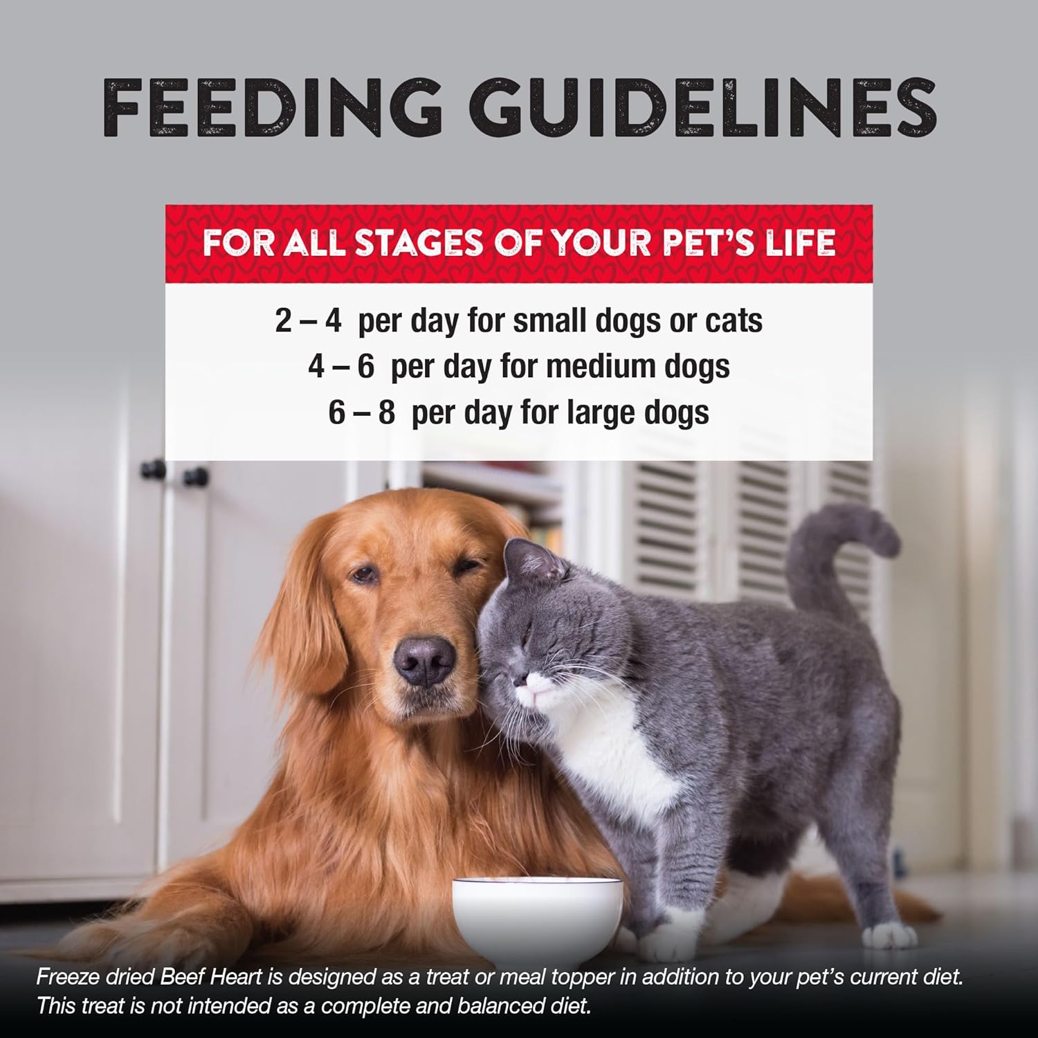 Northwest Naturals Raw Rewards Freeze-Dried Beef Heart Treats