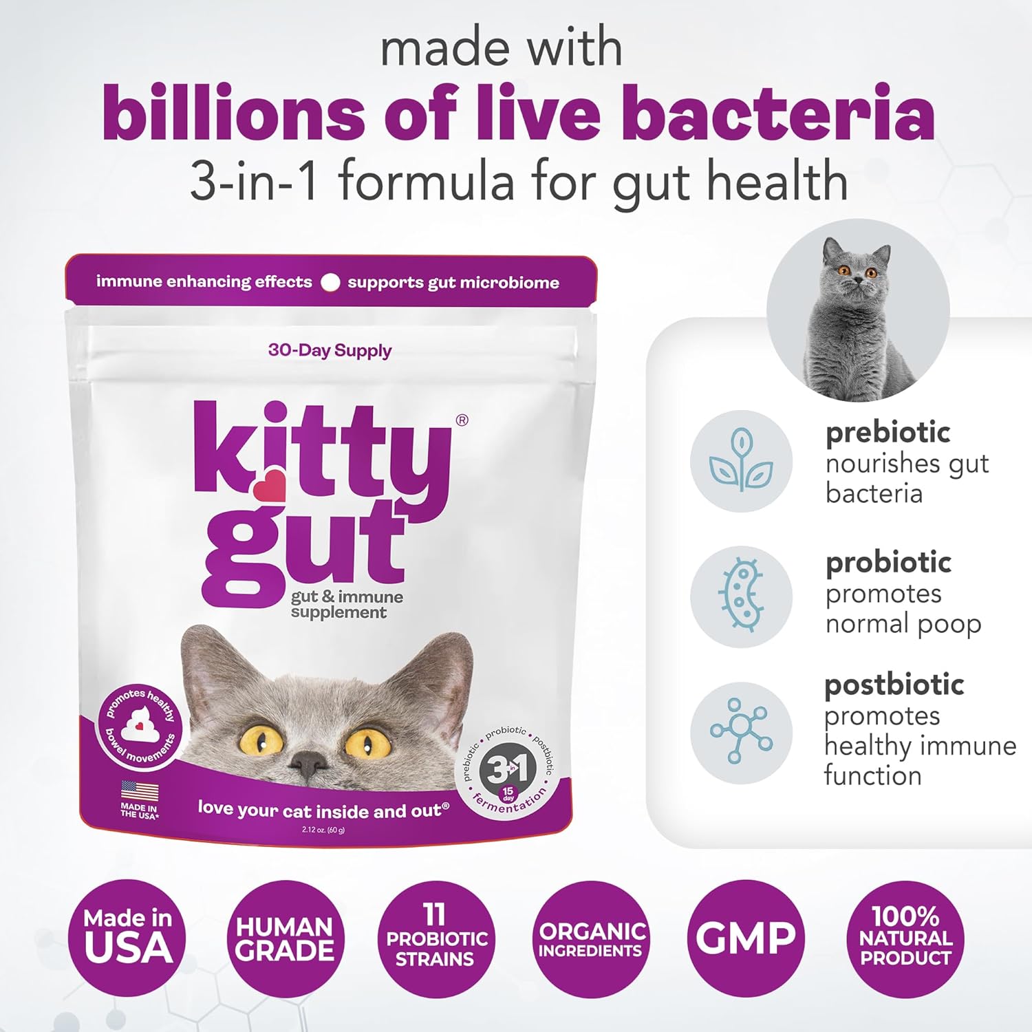 KittyGut™ Premium Cat Digestive & Immune Support for Cats