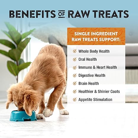 Northwest Naturals Raw Rewards Freeze-Dried Sweet Potato Treats for Dogs and Cats