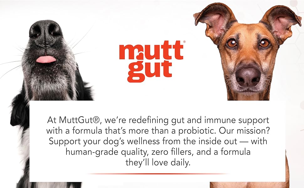 MuttGut™ Gut & Immune Supplement for Dogs
