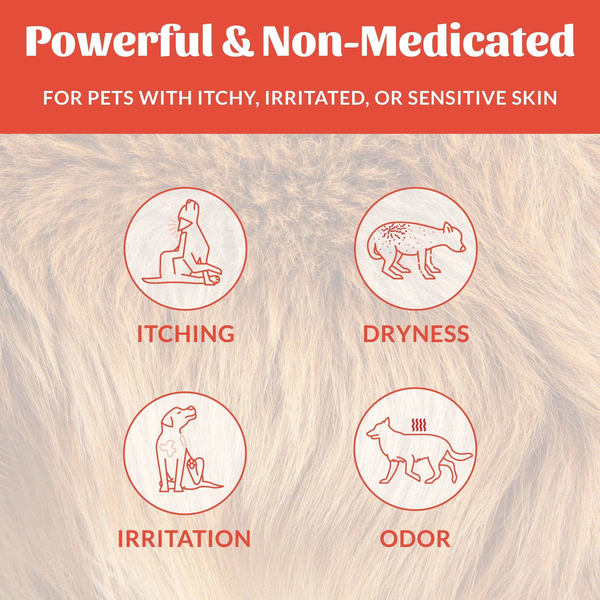 Skout's Honor Probiotic Itch Relief Spray