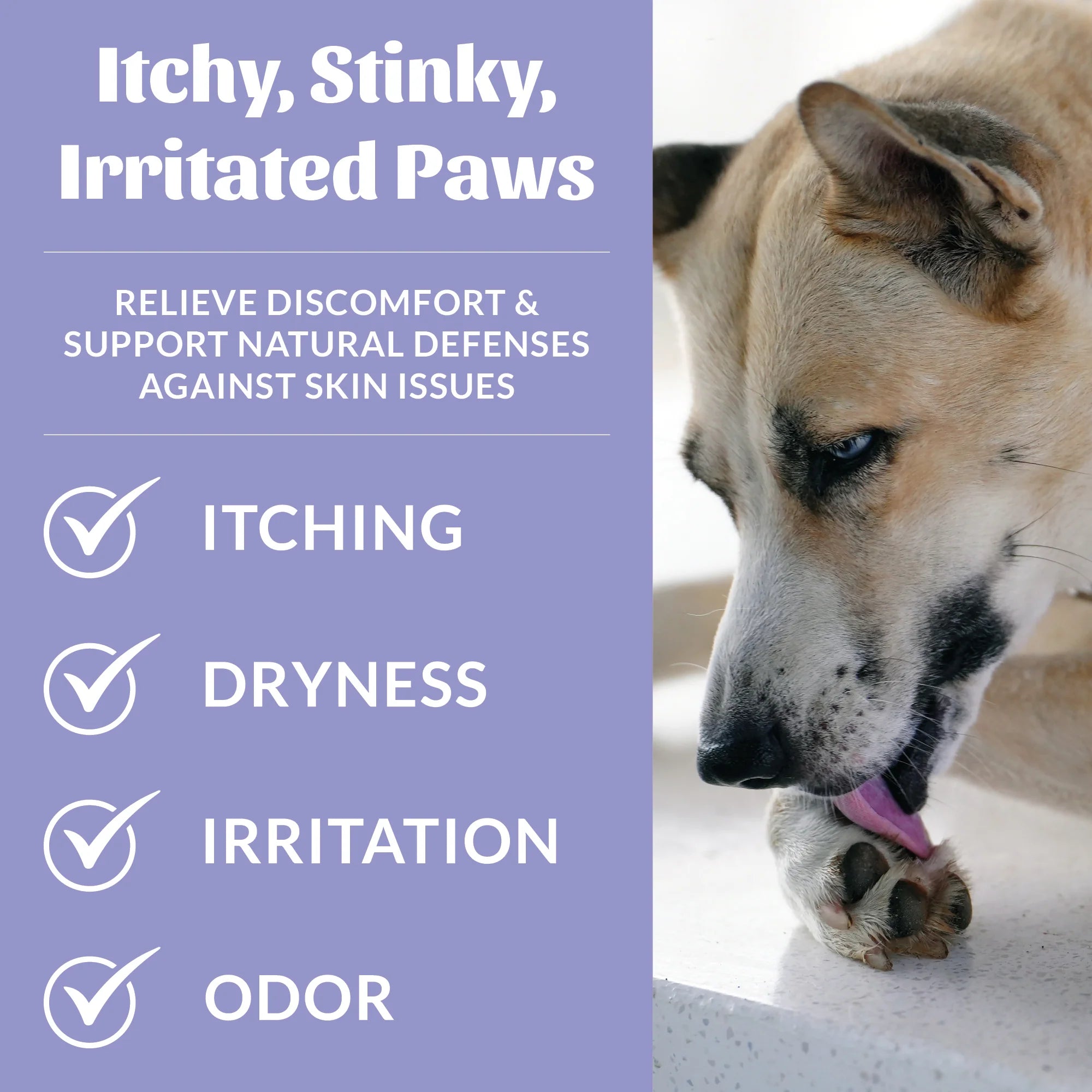 Skout's Honor Probiotic Paw Spray