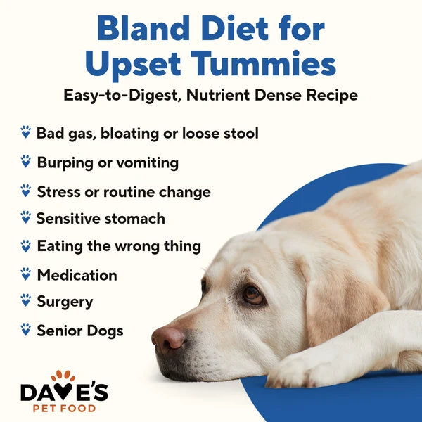 Dave's Restricted Diet Bland for Dogs – Turkey & Rice Pâté