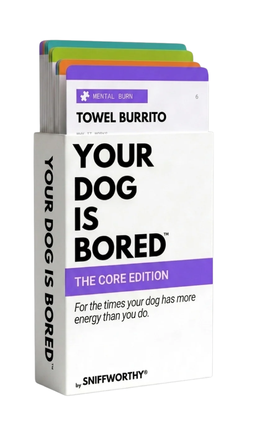 Your Dog Is Bored