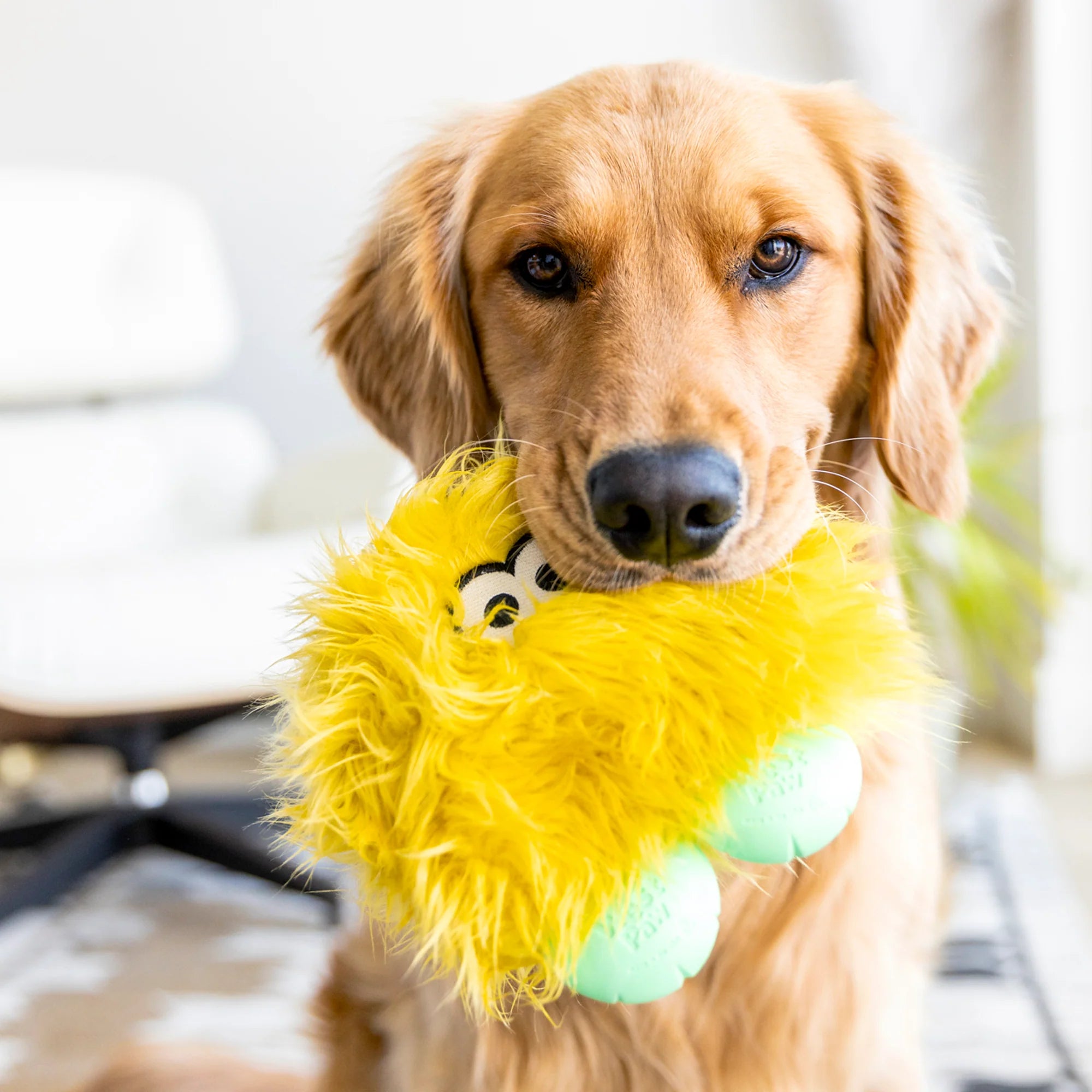 West Paw Rowdies® Rolf Durable Plush Toy