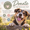 Donate to The Rescued Pup