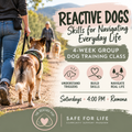 Reactive Dogs: Skills for Navigating Everyday Life