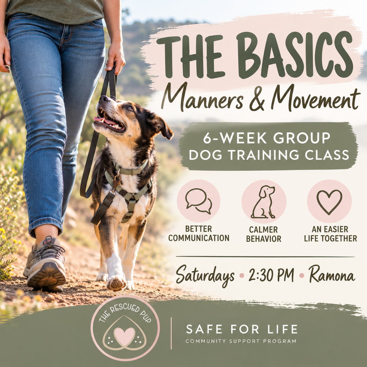 The Basics: Manners & Movement