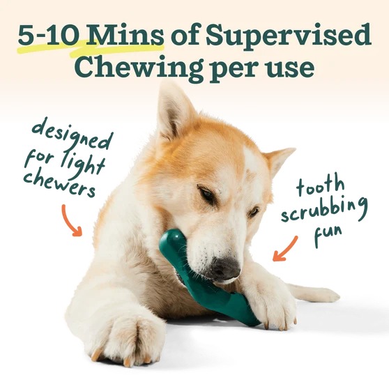 Woof Bite n’ Brush Dog Toothbrush & Dental Treat Holder