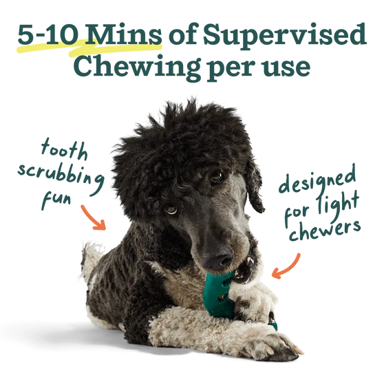 Woof Bite n’ Brush Dental Treat Refills