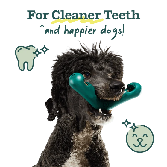 Woof Bite n’ Brush Dog Toothbrush & Dental Treat Holder
