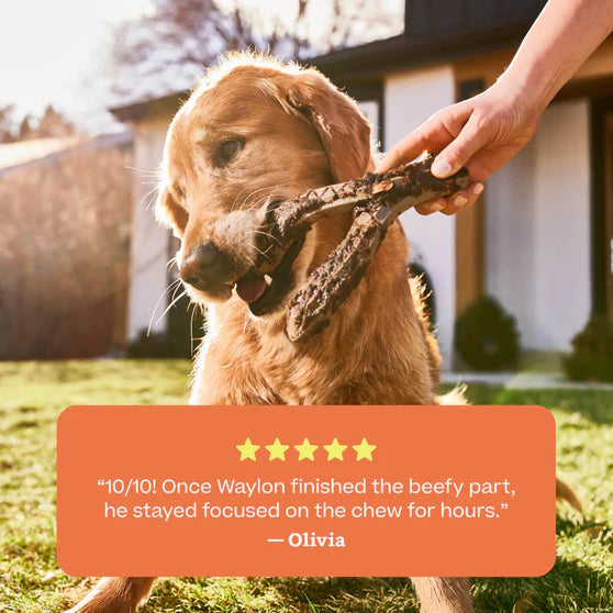 Woof HonestChew Meaty Antler