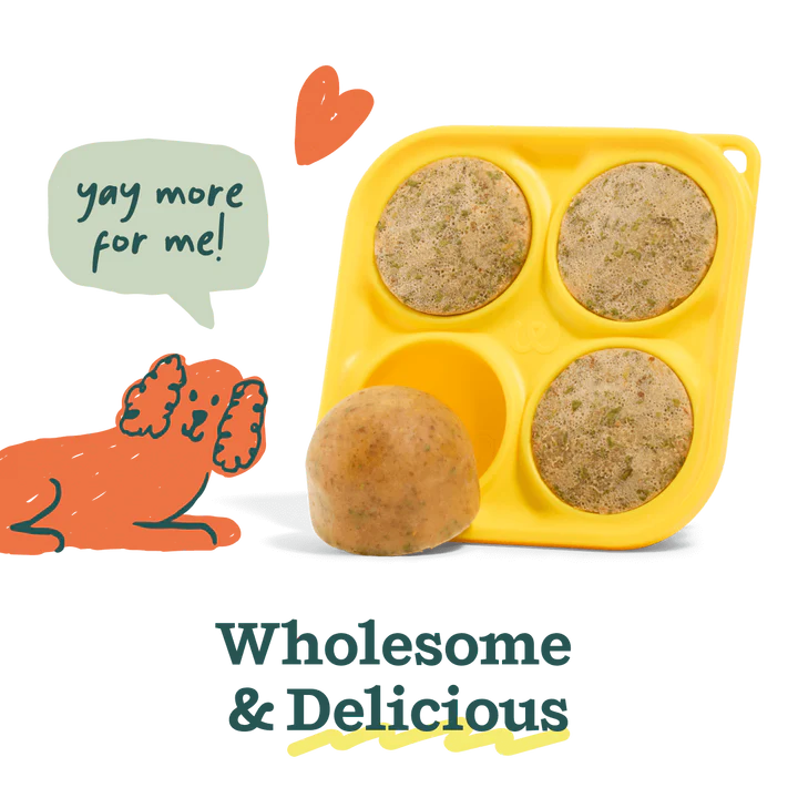 Woof Pupsicle Mix Variety Pack