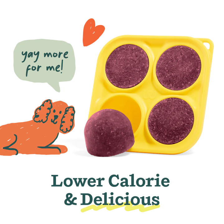 Woof Pupsicle Berry Crush Mix