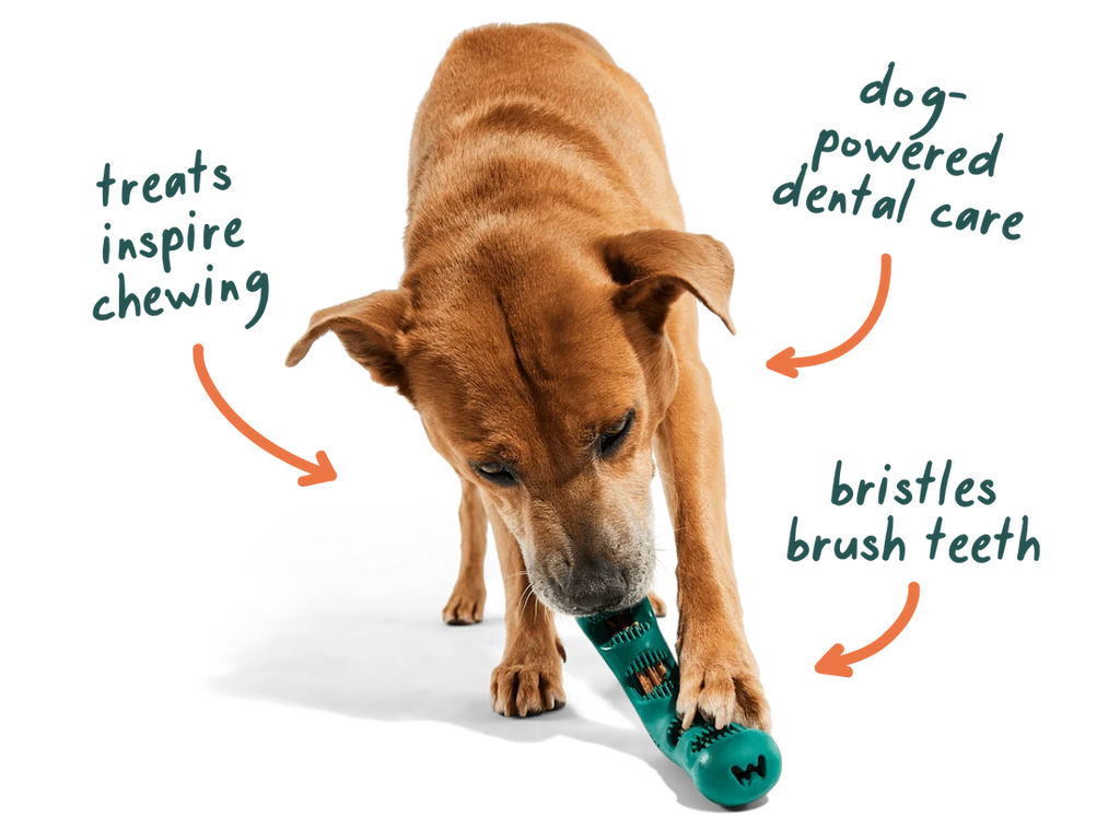 Woof Bite n’ Brush Dog Toothbrush & Dental Treat Holder