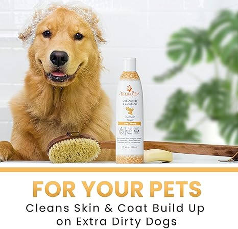 Aroma Paws Deep Cleaning Dog Shampoo & Conditioner, Mandarin Ginger, 13.5-oz bottle