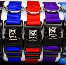 Blue-9 Secure Lightweight Dog Collar