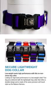 Blue-9 Secure Lightweight Dog Collar