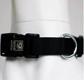 Blue-9 Secure Lightweight Dog Collar