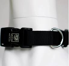 Blue-9 Secure Lightweight Dog Collar