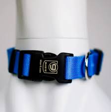 Blue-9 Secure Lightweight Dog Collar
