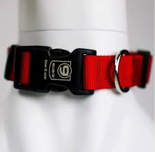 Blue-9 Secure Lightweight Dog Collar