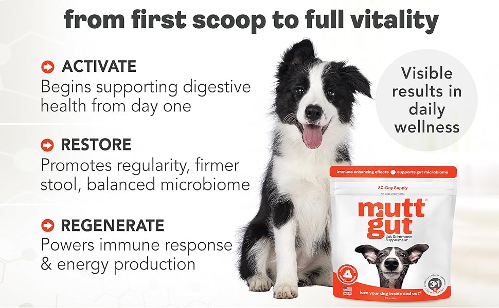 MuttGut™ Gut & Immune Supplement for Dogs