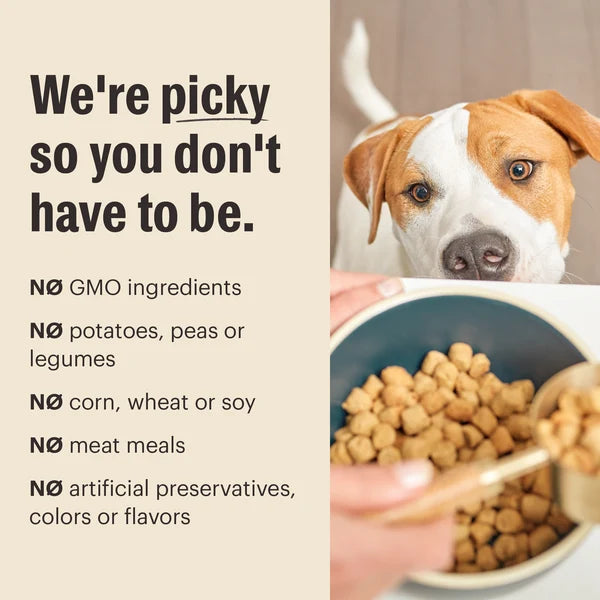 The Honest Kitchen Whole Food Clusters Beef & Oat Whole Grain Dry Dog Food