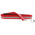 Doggie Design Basic Reflective Dog Leash