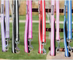 Doggie Design Basic Reflective Dog Leash