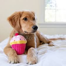 Huxley & Kent Power Plush Pup-cake Dog Toy