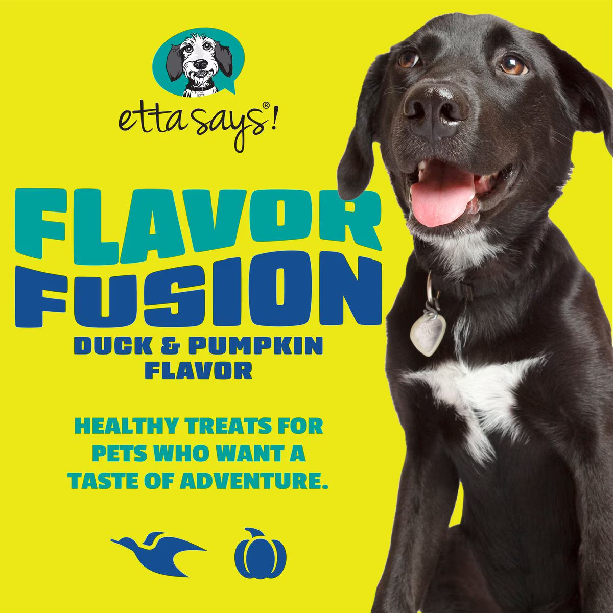 Etta Says! Flavor Fusion Dog Chew – Duck & Pumpkin
