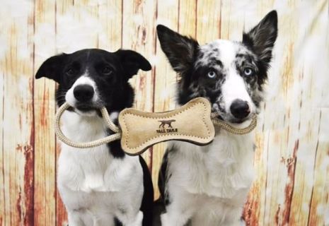 Tall Tails Natural Wool Bone Tug Dog Toy