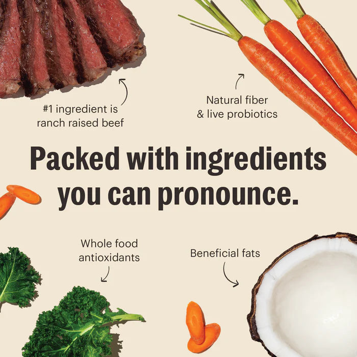 The Honest Kitchen Whole Food Clusters Beef Grain-Free Dry Dog Food