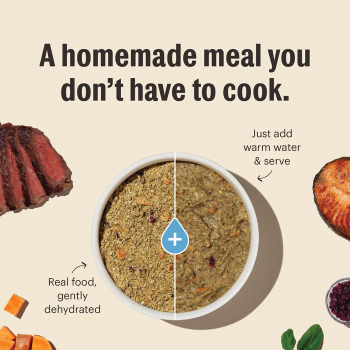 The Honest Kitchen Wholemade Whole Grain Beef & Oat Recipe Dehydrated Dog Food