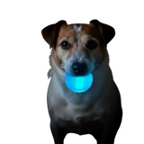 SodaPup Strobe Ball Ultra Durable PUP-X