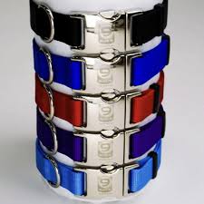 Blue-9 Secure Pro Metal Buckle Dog Collar