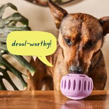 Woof The Pupsicle Treat Dispensing Dog Toy