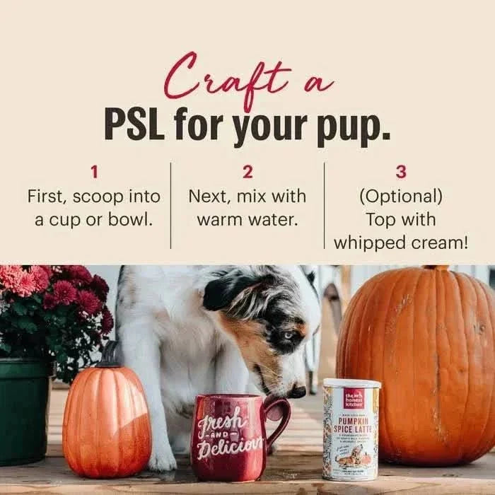 The Honest Kitchen Dog Pumpkin Spice Latte