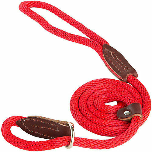 Leather Brothers Slip Dog Lead 4-ft