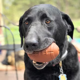 Football eDispenser – Durable Rubber Chew Toy & Treat Dispenser
