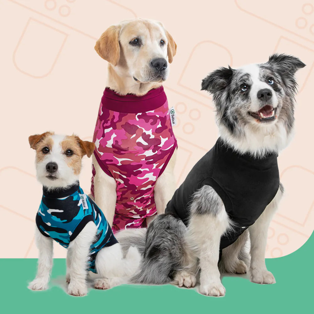 Suitical Recovery Suit for Dogs