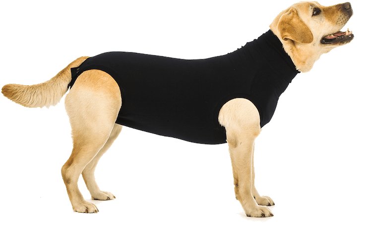 Suitical Recovery Suit for Dogs